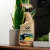 K2 DEOCAR LEMON 700ml odświeżacz i neutralizator powietrza w jednym 428