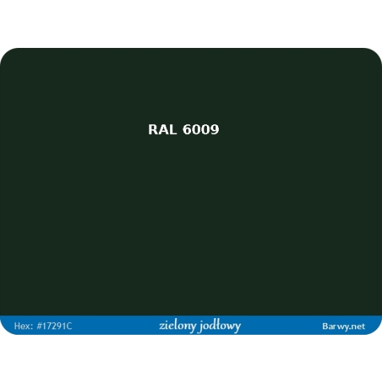 RAL 6009 zielony FARBA olejna ALKIDOWA POŁYSK jednoskładnikowa 783