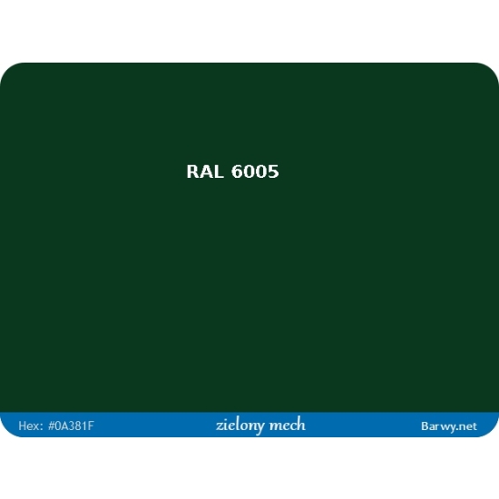 RAL 6005 zielona GRUNTOEMALIA POLIURETAN POŁYSK farba ochronna metalu 1930