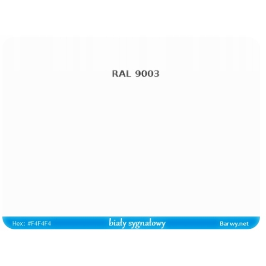 RAL 9003 BIAŁY CZYSTY lakier EPOXYDOWY PÓŁPOŁYSK na beton stal maszyny 602