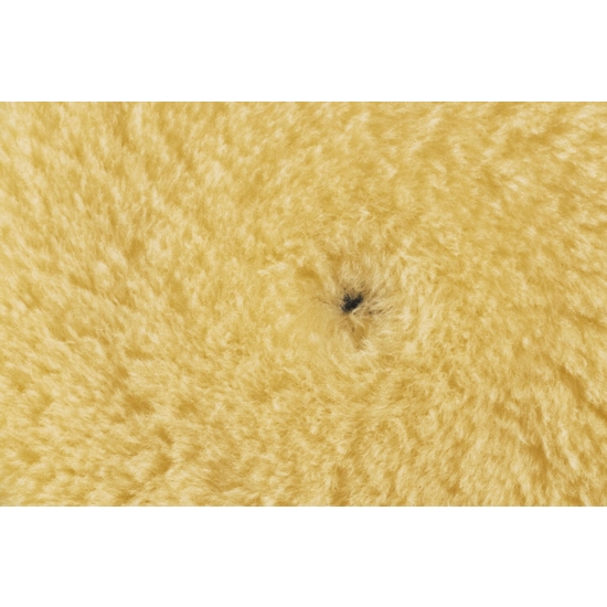 RUPES FUTRO POLERSKIE na rzep średnio tnące D-A MEDIUM 145 mm 1235