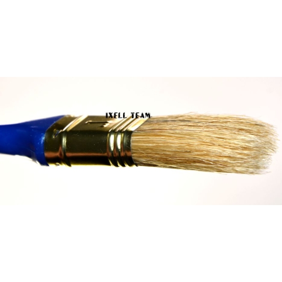 PĘDZEL PŁASKI 25 mm 1`` PLASTIK RĄCZKA 200-314 KAEM HARDY pro-line 826