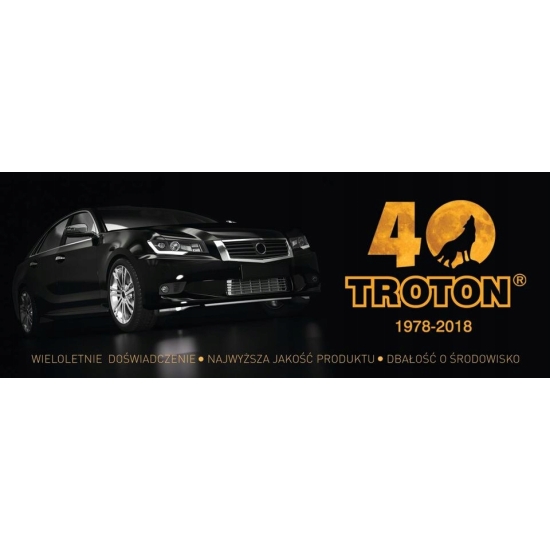 RUSTFILLER OCHRONA ANTYKOROZYJNA 100 ml produkt aktywny na rdzę TROTON 992
