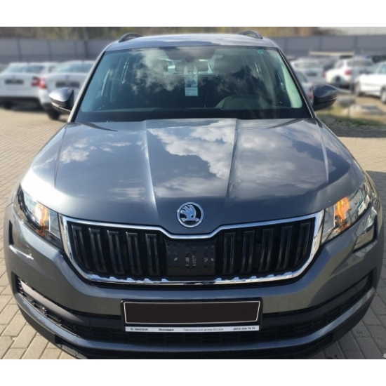 baza perłowa SKODA 9901 GRAPHIT GRAU SEDA GRAPHITE 1 litr IXELL 55