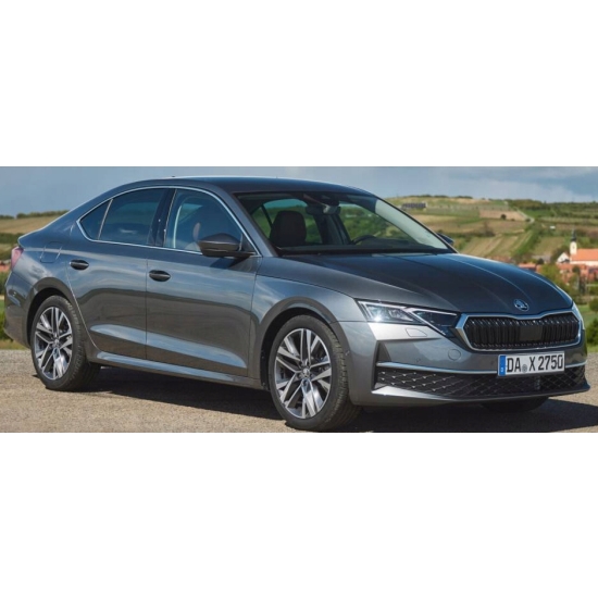 BAZA perłowa SKODA 9900 GRANIT 1 litr IXELL 55