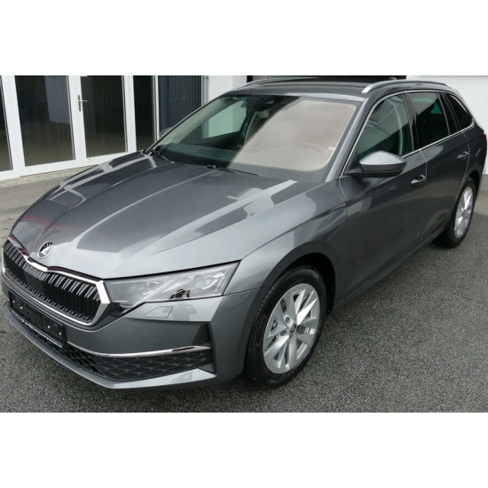 BAZA perłowa SKODA 9900 GRANIT 1 litr IXELL 55
