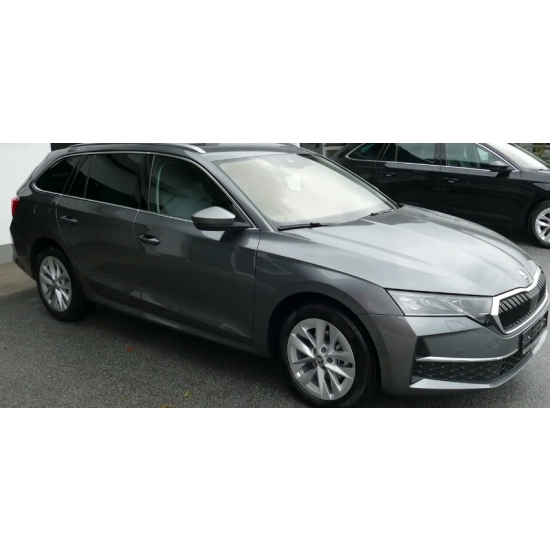 BAZA perłowa SKODA 9900 GRANIT 1 litr IXELL 55