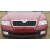 BAZA perła SKODA 9892 CERVENA FLAMENCO FLAMENCO ROT 1 litr IXELL 55