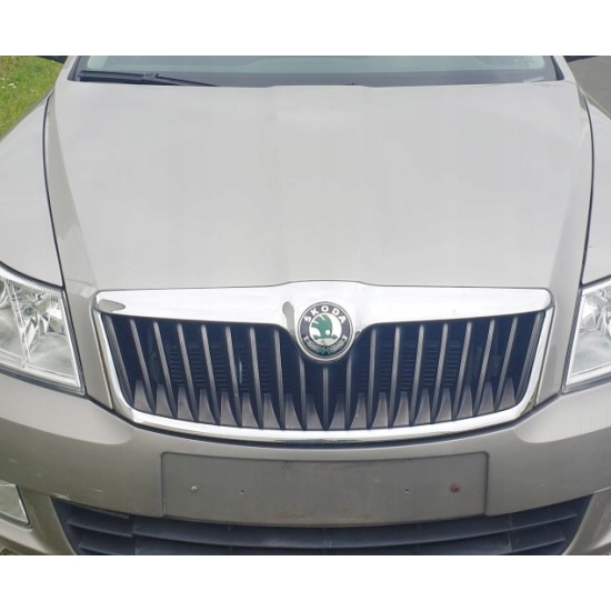 baza perła SKODA 9202 BEZOVA CAPUCCINO CAPUCCINO BEIGE 1 litr IXELL 55