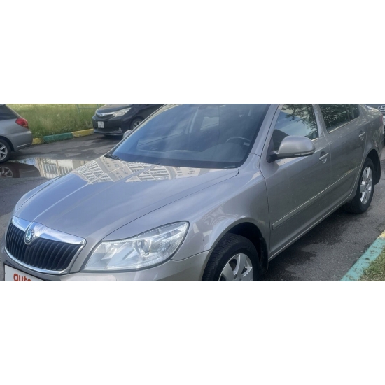 baza perła SKODA 9157 SEDA STEEL PLATIN STEEL GRAU 1,0 litr IXELL 55