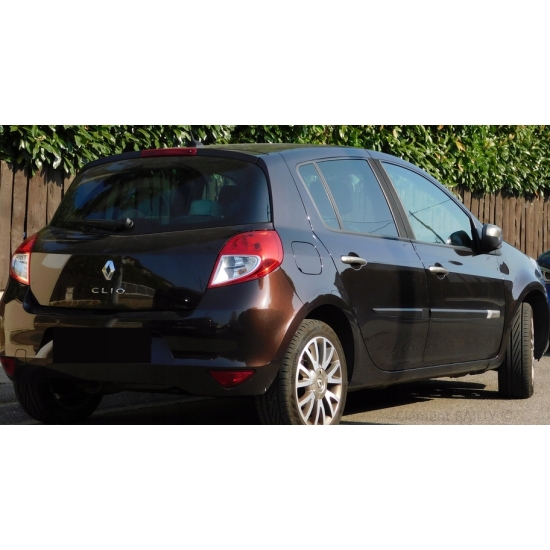 lakier baza Renault D17 MARRON GLACE 1,0 rozcieńczalnikowa IXELL 55