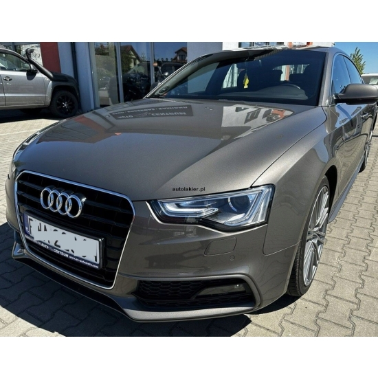 lakier bazowy PERŁA VW AUDI DAKOTAGRAU LY1P rozcieńczalnikowa 55