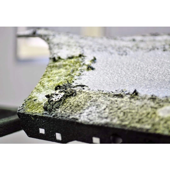 1 litr REMOVER PAINT do usuwania zaschniętych lakierów farb TROTON 203