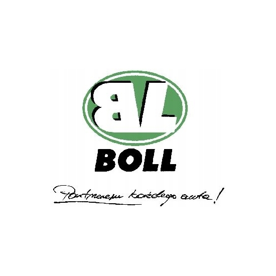 BOLL LAKIER DO ZACISKÓW i tarcz hamulcowych POMARAŃCZOWY połysk trwały 1485